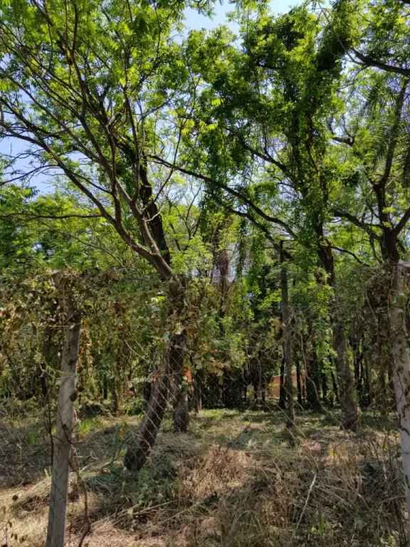 VENDO IMPORTANTE TERRENO DETRAS DE SHOPPING PINEDO — foto 3