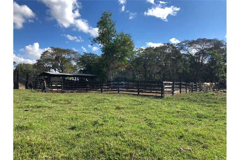 Vendo Campo en Paraguarí Zona la Colmena — foto 2
