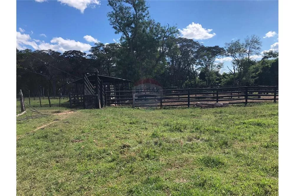 Vendo Campo en Paraguarí Zona la Colmena — foto 3