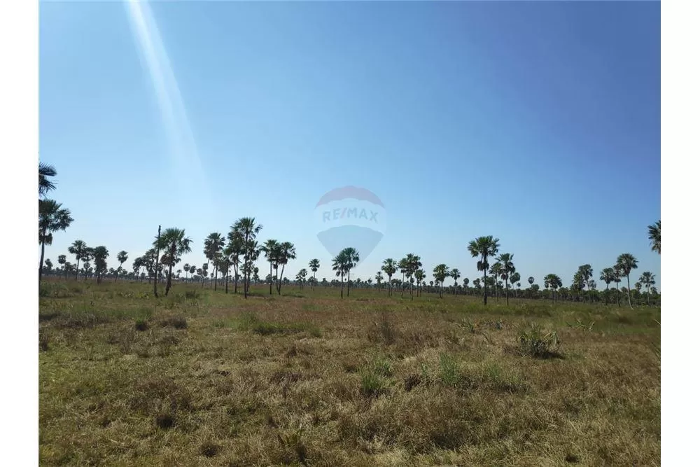 VENDO PROPIEDAD DE 87 HECTAREAS SOBRE RUTA 3 KM 53 - 589,400 USD — foto 3