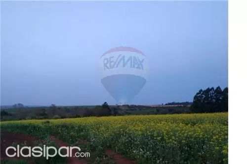 17.5 HAS EN VENTA - COLONIA VACAY | BELLA VISTA 175,000 USD — foto 3
