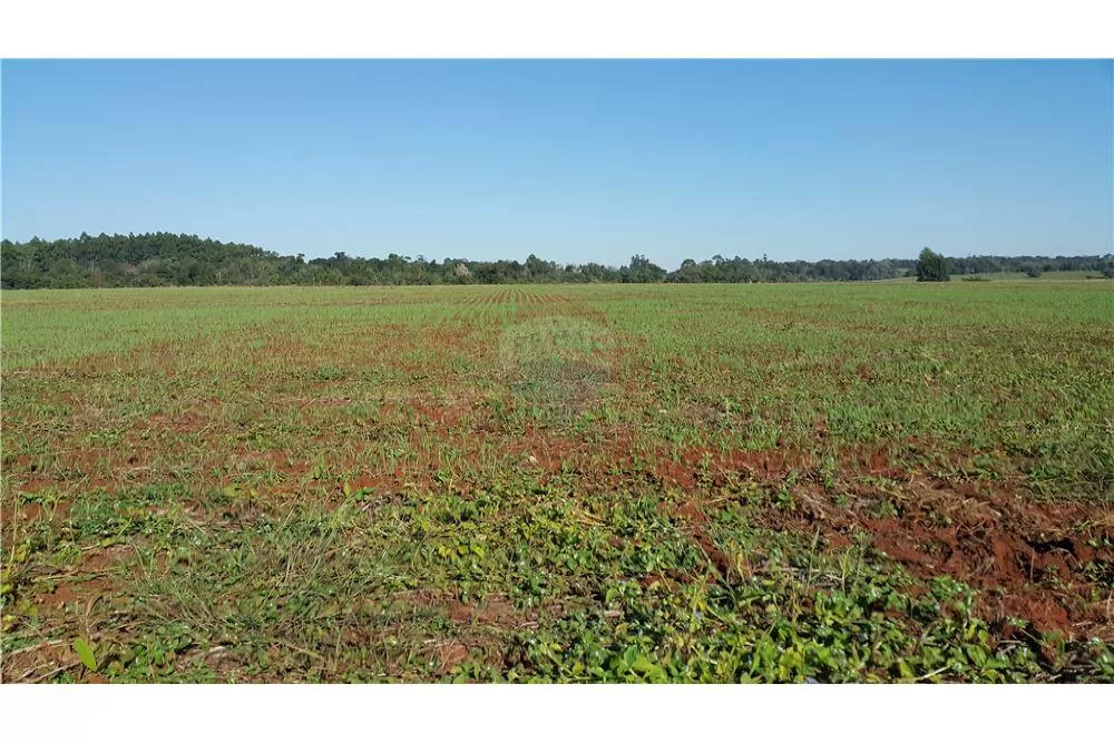 Vendo terreno Agrícola de 23 Hectáreas — foto 2
