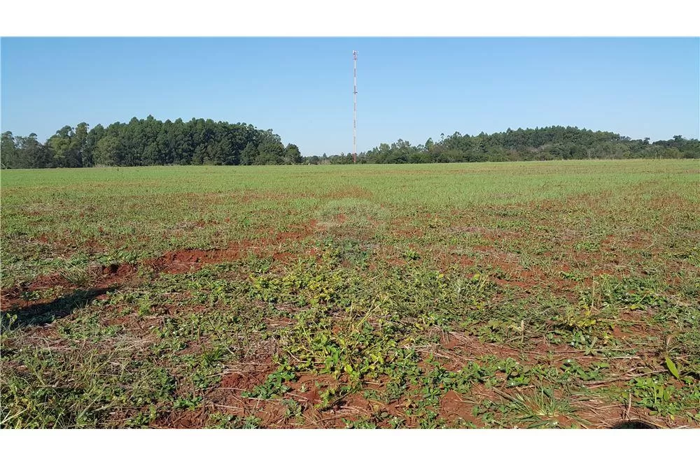 Vendo terreno Agrícola de 23 Hectáreas — foto 3