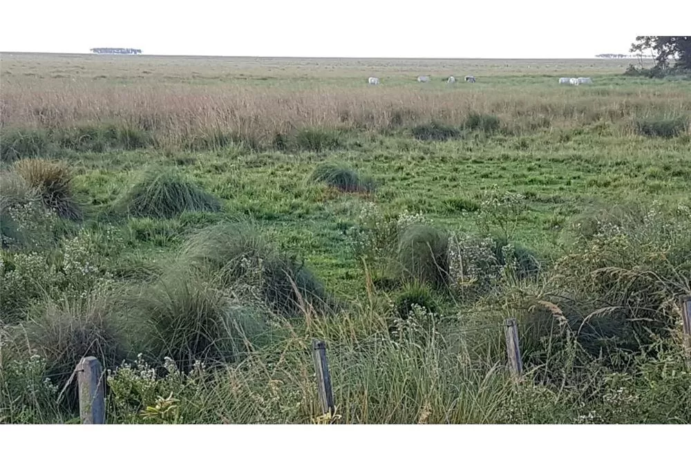 OFERTA DE HECTAREAS EN MBUYAPEY — foto 3