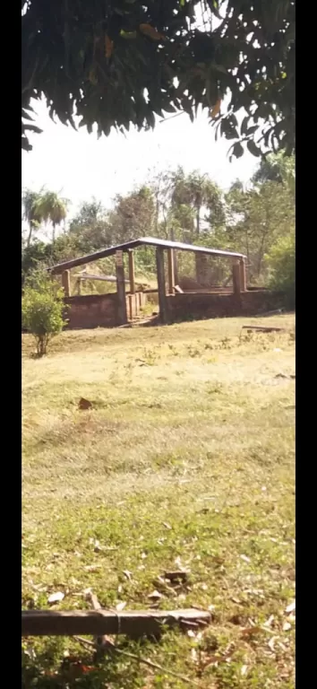 VENDO 6.5 HECTAREAS CON DOS CASAS Y UNA CHANCHERÍA — foto 3