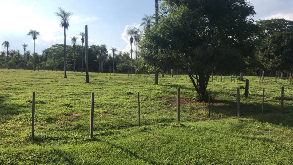 Inmueble en Caacupé Ytu — foto 3