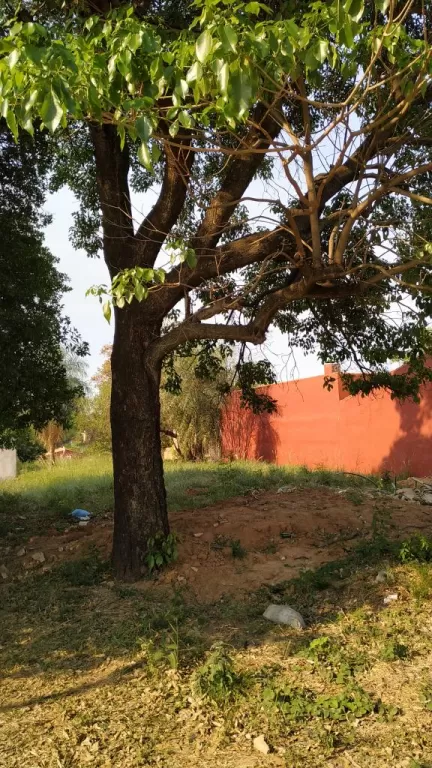VENDO TERRENO EN MARIANO ROQUE ALONSO, AL LADO DE AGUA SELTZ — foto 3