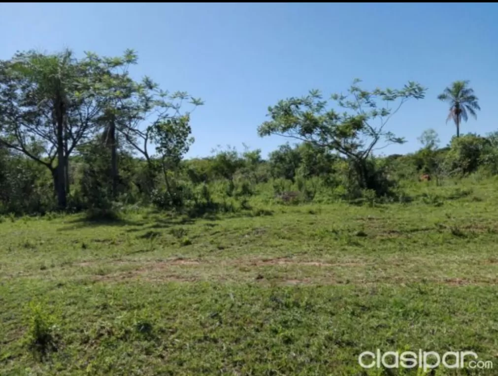 Aprovecha esta oferta de terrenos de 367m2 En Ciudad De Altos — foto 2