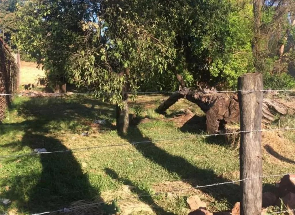 REMATO TERRENO EN LAMBARÉ — foto 3
