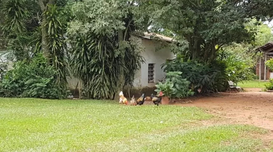 VENDO GRANJA EN PIRIBEBUY — foto 2