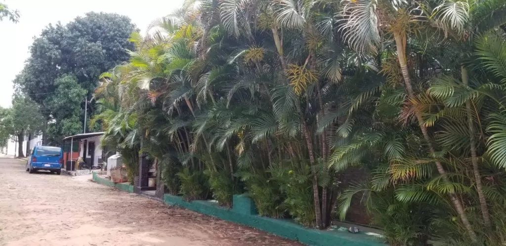 VENDO TERRENO CON UN CASTILLO Y CON UNA CASA — foto 3