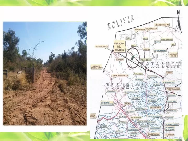 CAMPO AGRO-FORESTAL – MARISCAL ESTIGARRIBIA (BOQUERON) — foto 2