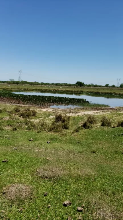 VENDO EN OFERTA PROPIEDAD DE 137 HA. EN EUSEBIO AYALA (BARRERO GRANDE - DPTO. CORDILLERA) — foto 2