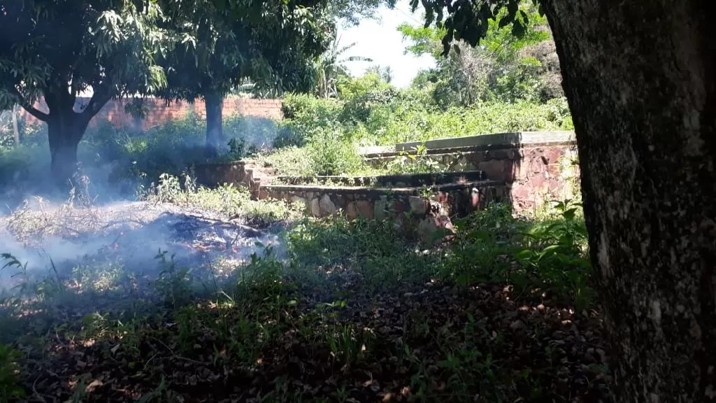 Vendo dos terrenos en luque — foto 2