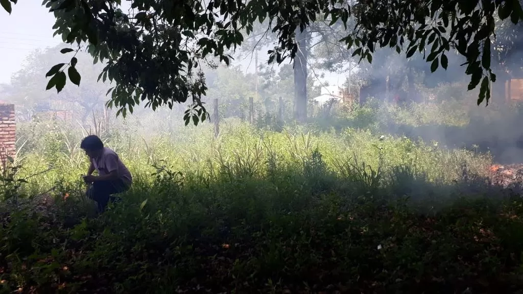 Vendo dos terrenos en luque — foto 3