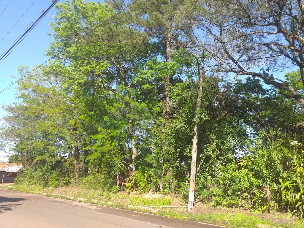 Opotunidad de Inversión en Guarambaré. — foto 2