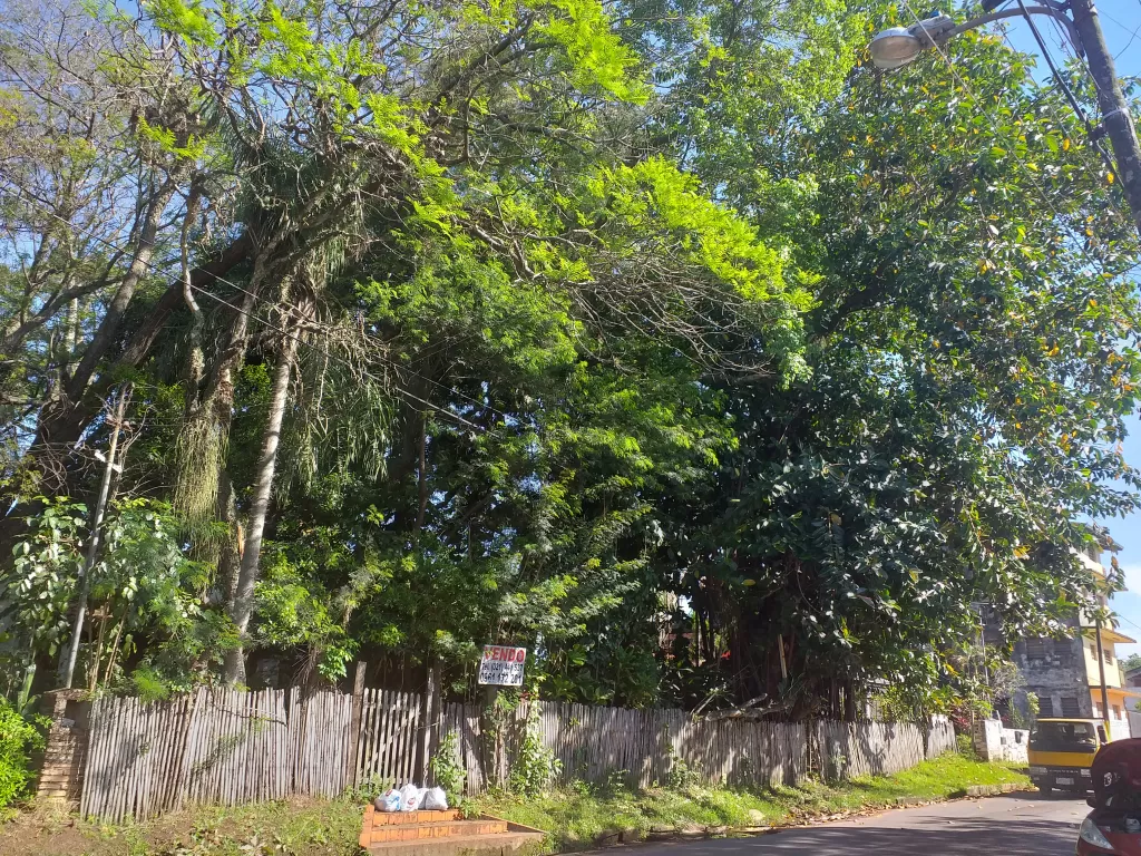 Opotunidad de Inversión en Guarambaré. — foto 3