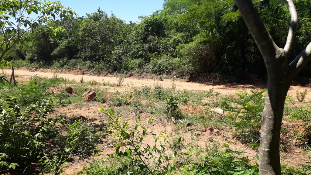 Oferta terreno titulado ciudad de Luque, zona tarumandy. — foto 2