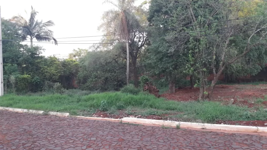 Vendo terreno en el barrio San Pedro de Encarnación — foto 3
