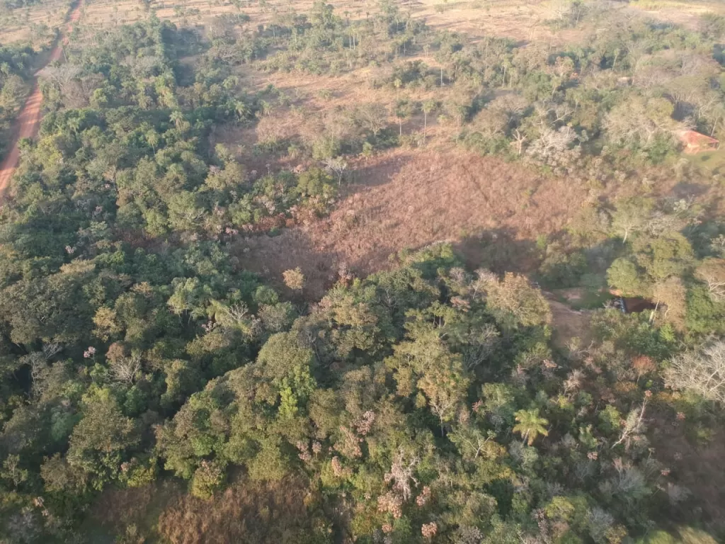 VENDO UNA HECTÁREA Y MEDIA EN CAACUPÉ — foto 2
