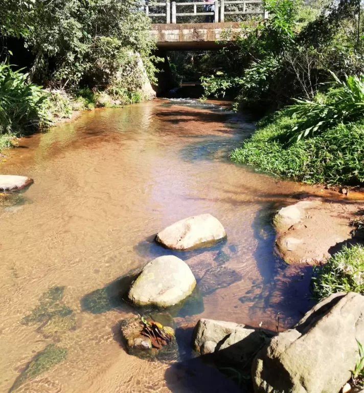 VENDO UNA HECTÁREA Y MEDIA EN CAACUPÉ — foto 3