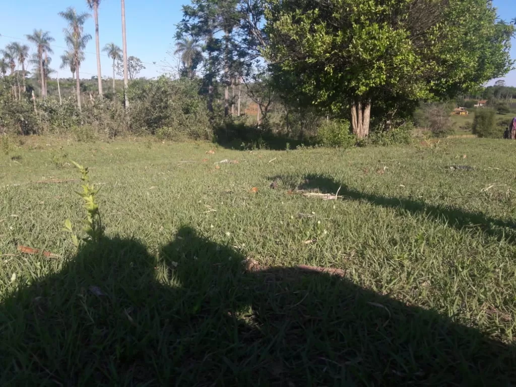 Anuncio 1515024 — foto 2