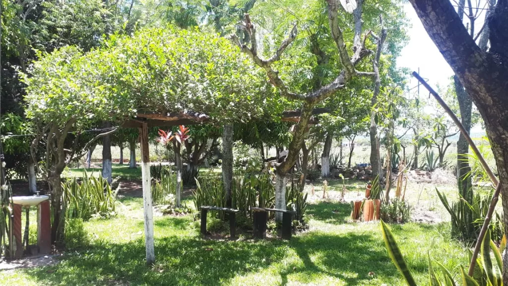 VENDO CASA CON TERRENO AMPLIO - YPACARAI JHUGUA JHU — foto 2
