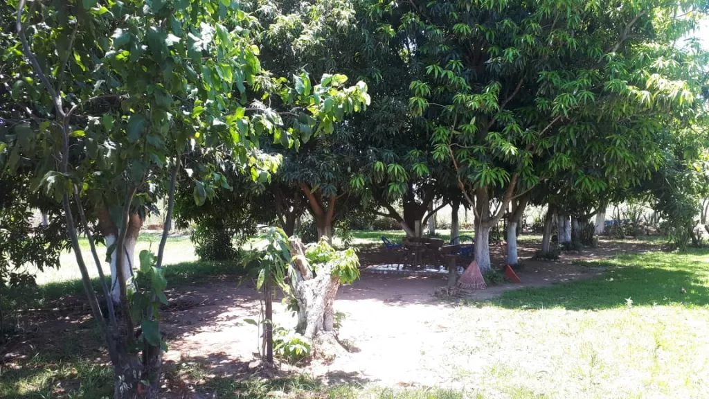 VENDO CASA CON TERRENO AMPLIO - YPACARAI JHUGUA JHU — foto 3