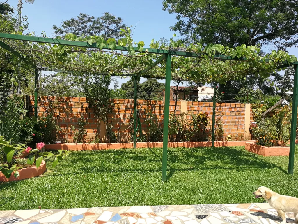 VENDO CASA LIMPIO CENTRO — foto 3