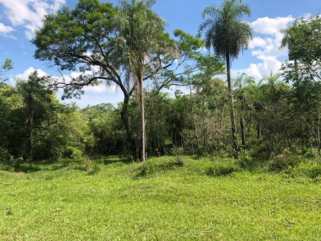 VENDO TERRENOS EN ATYRA - PROPIEDAD 2539 M2 — foto 3