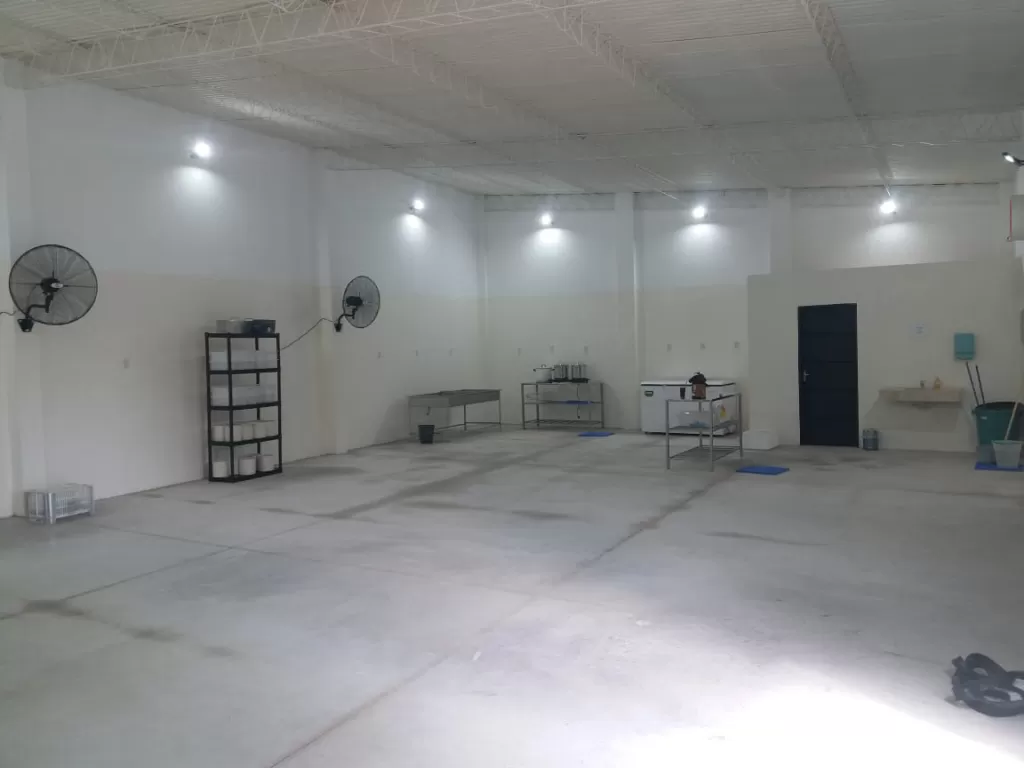 Se vende una casa — foto 3
