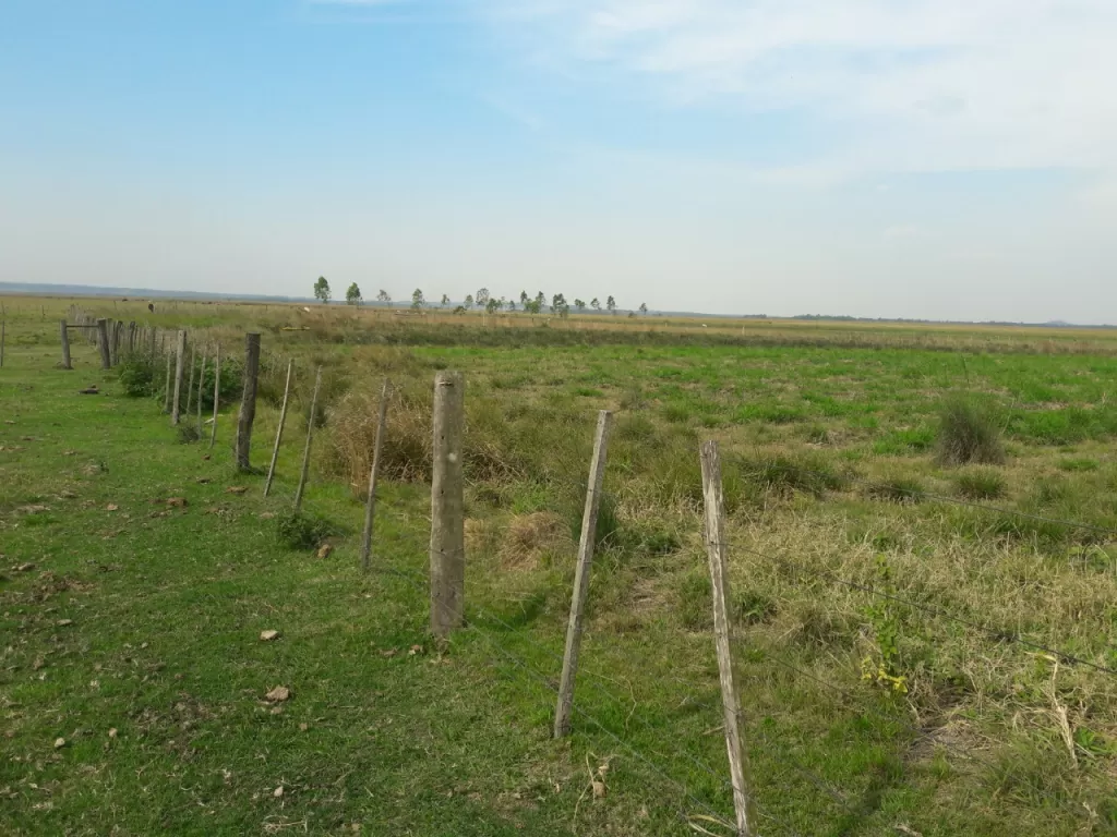 ATYRA, CORDILLERA: 278 HAS, MAGNIFICO ESTABLECIMIENTO, P CRIADERO, AGROFORESTAL. — foto 3