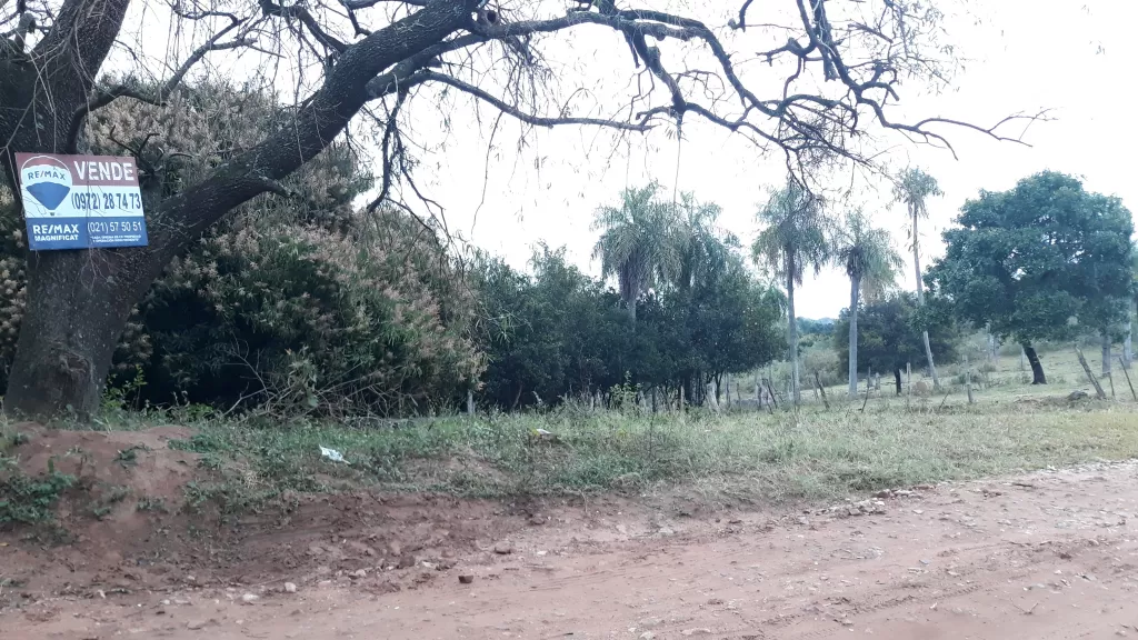 Vendo 6.5 Hectáreas en Emboscada-Cordillera. COMO OPCION OTRAS 5,5 HECTAREAS — foto 2