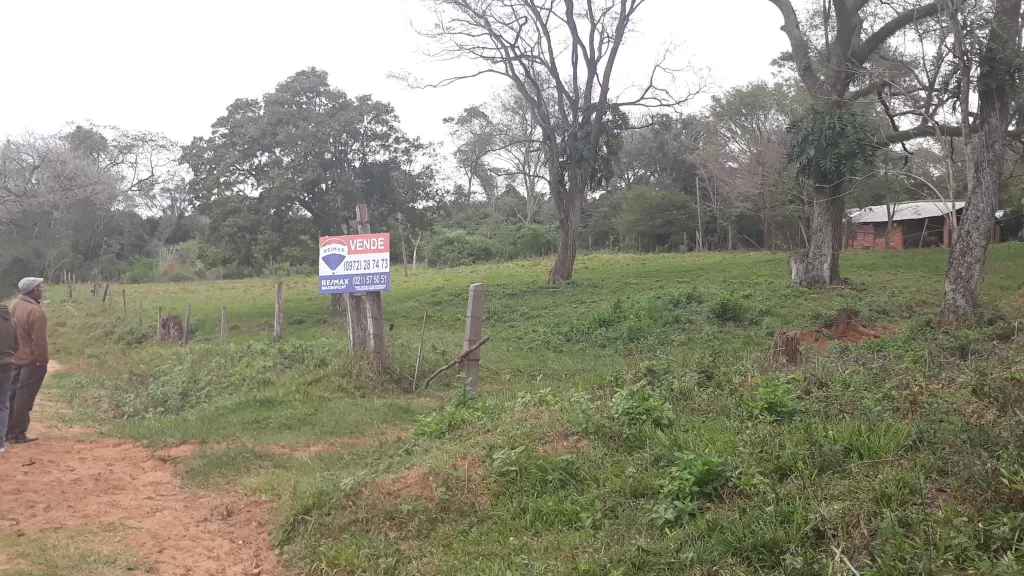 Vendo 25 Hectáreas O 50 HECTAREAS en RI3Corrales — foto 2