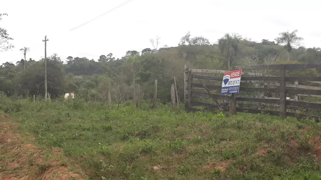 Vendo 25 Hectáreas O 50 HECTAREAS en RI3Corrales — foto 3