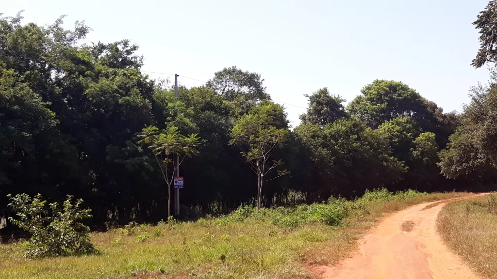 Vendo Terreno de 25 Hectáreas en Caaguazu — foto 2