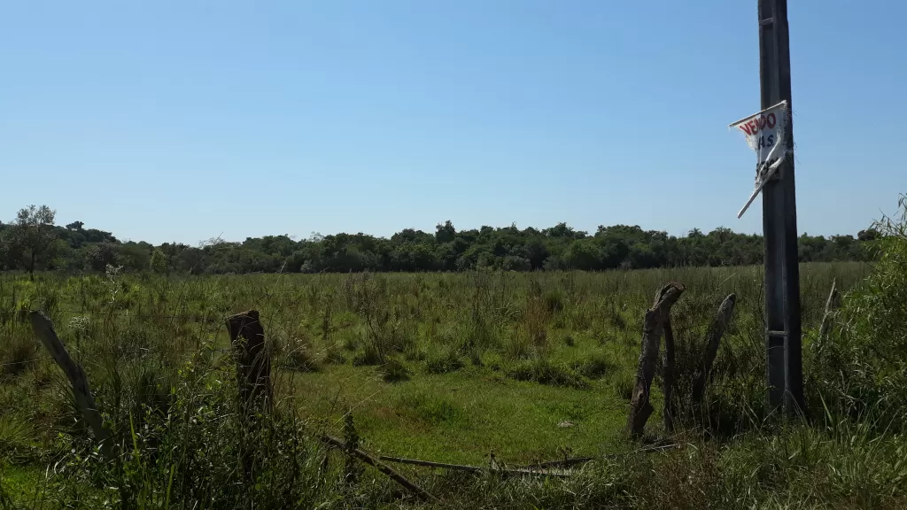 Vendo Terreno de 25 Hectáreas en Caaguazu — foto 3