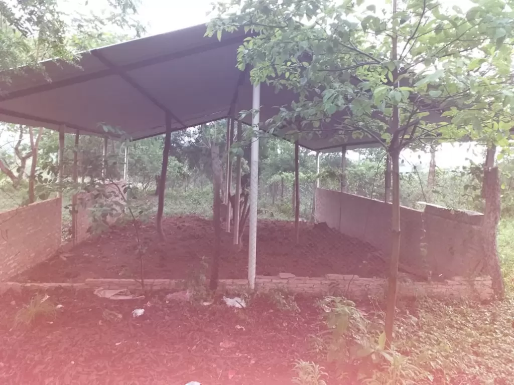 ESCOBAR, PARAGUARÍ — foto 3