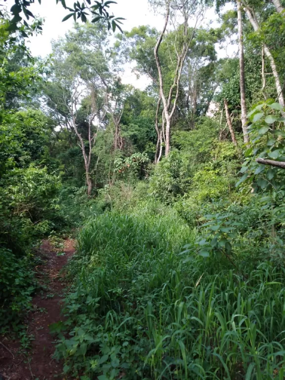 P.J CABALLERO, CERRO CORA’I — foto 3