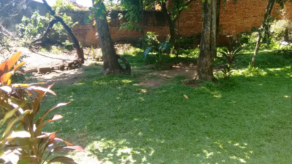 VENDO UNA PROPEDAD EN ENCARNACIÓN — foto 3