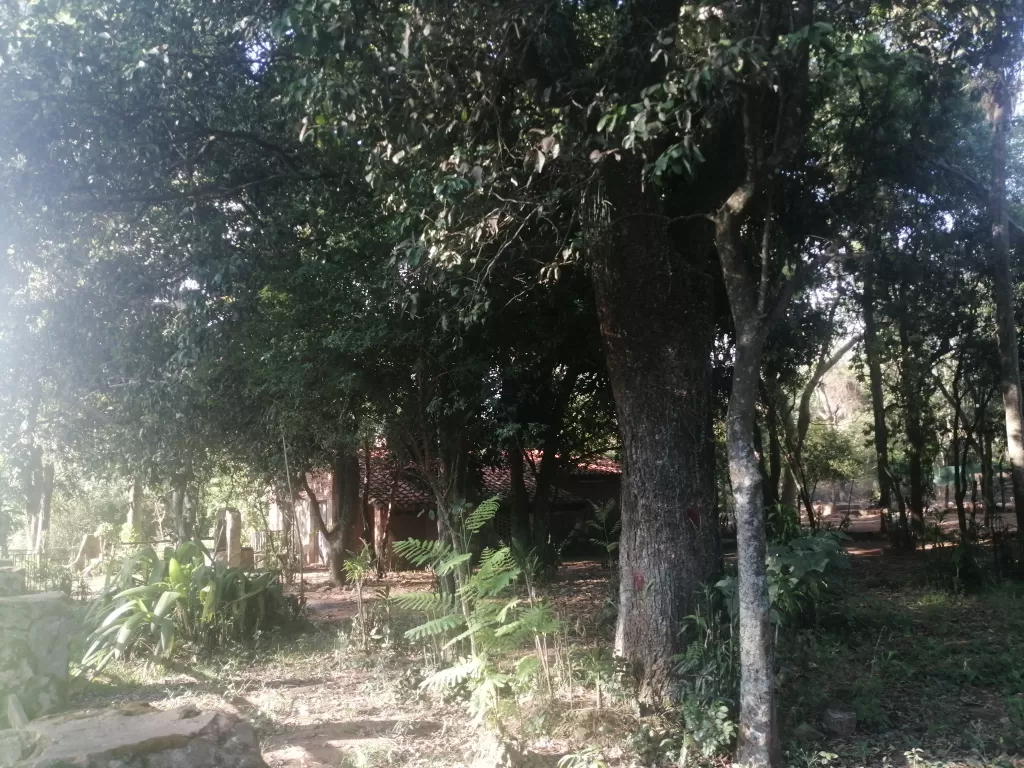 VENDO TERRENO EN ESQUINA SANBER ZONA ANFITEATRO — foto 3