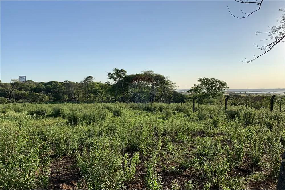 Terreno de más de 5 has. en Mariano — foto 2