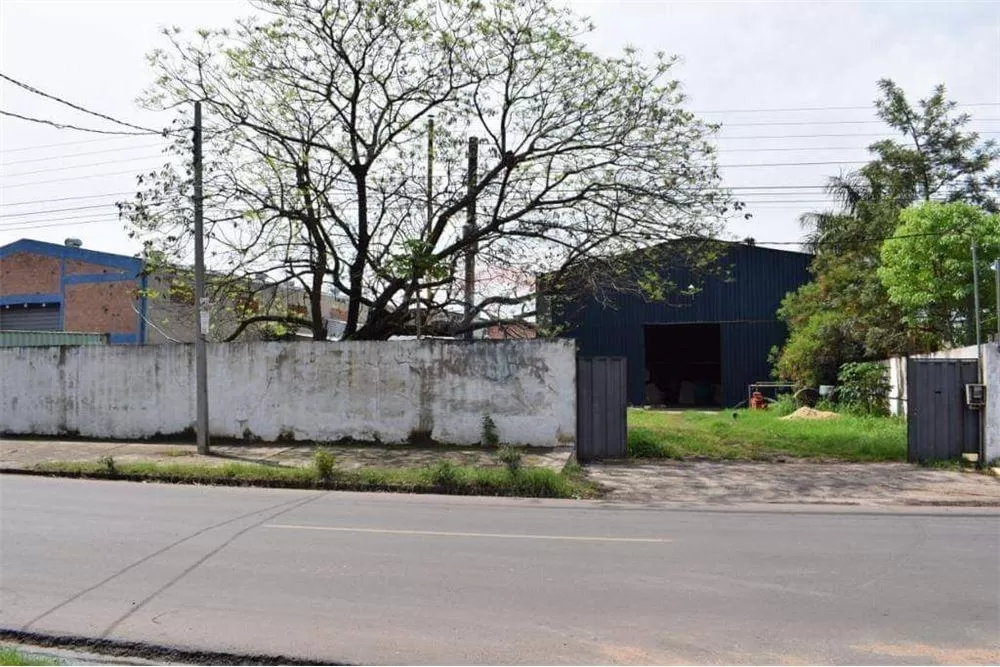 TRES LOTES CON TINGLADO EN VENTA! — foto 3