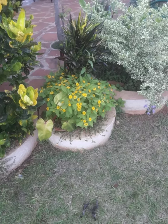 vendo en San Juan Bautista — foto 2