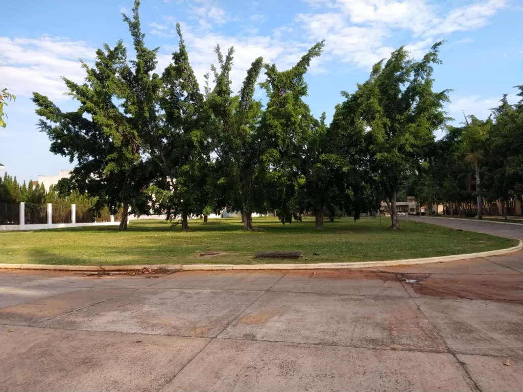 Terrenos en exclusivo barrio cerrado en Luque zona Rakiura — foto 3