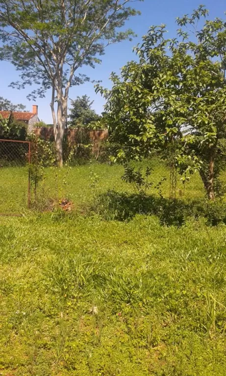 VENDO DOS LOTES JUNTOS EN SAN LORENZO BARRIO MARIA AUXILIADORA. — foto 2