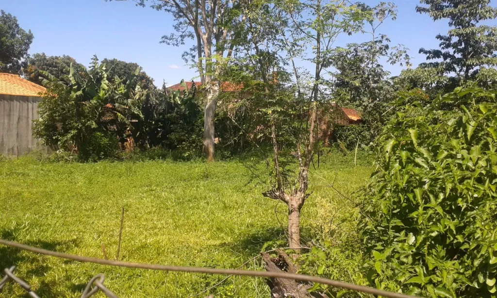 VENDO DOS LOTES JUNTOS EN SAN LORENZO BARRIO MARIA AUXILIADORA. — foto 3