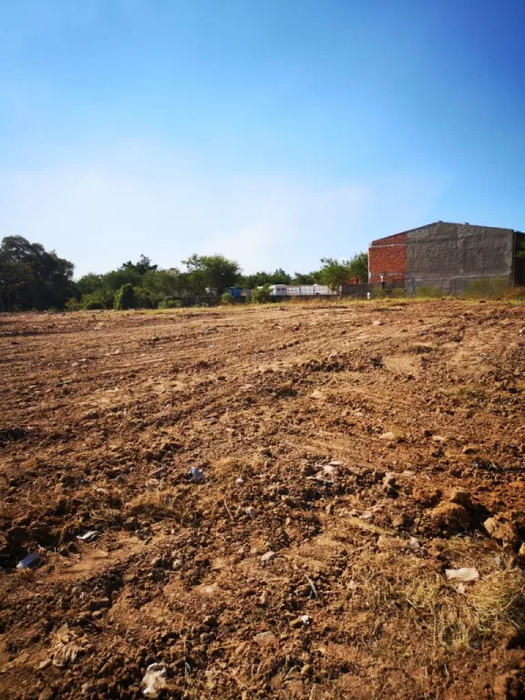 LUQUE (PROX. CIT, MME LYNCH): INMEJORABLE! 1 HAS IDEAL P DESARROLLOS INMOBILIARIOS. — foto 3