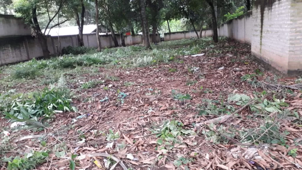 VENDO AMPLIO TERRENO ZONA MUNICIPALIDAD DE LAMBARE — foto 3