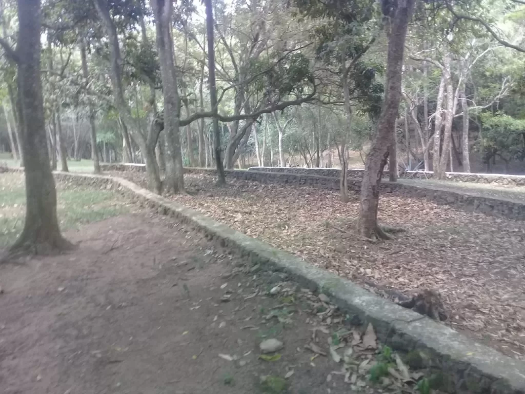 Escobar 65 has — foto 2